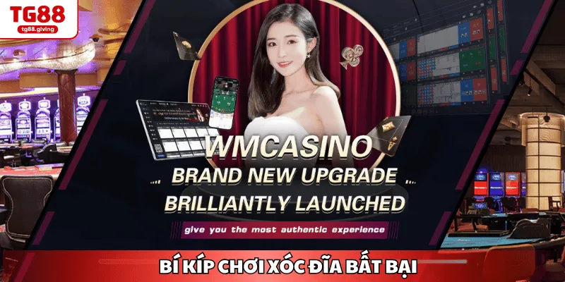 bí kíp chơi xóc đĩa bất bại tg88