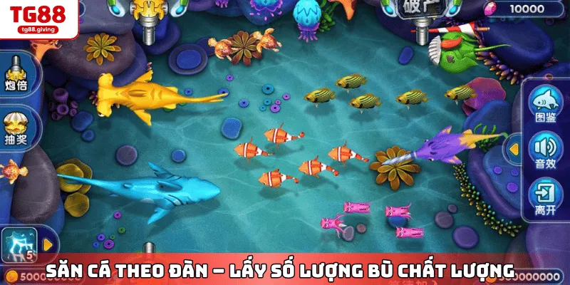 mẹo săn cá theo đàn dễ thắng tg88
