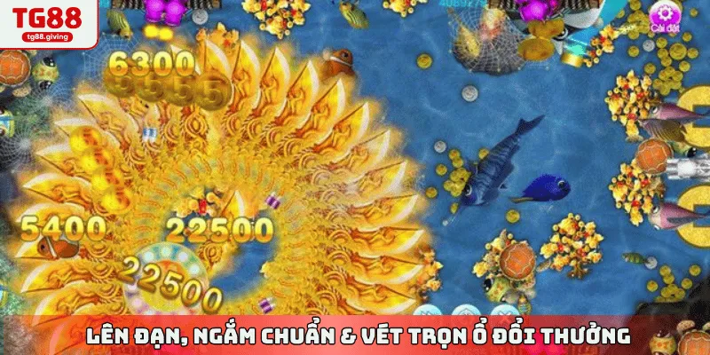 tay cứng săn cá rút tiền liền tay tg88