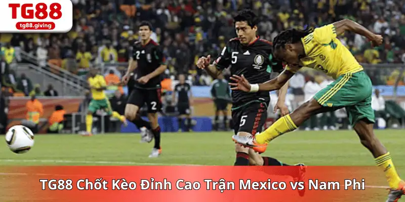 soi kèo mexico vs nam phi chính xác