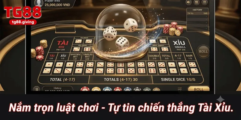 luật chơi cơ bản và mẹo chơi tài xỉu
