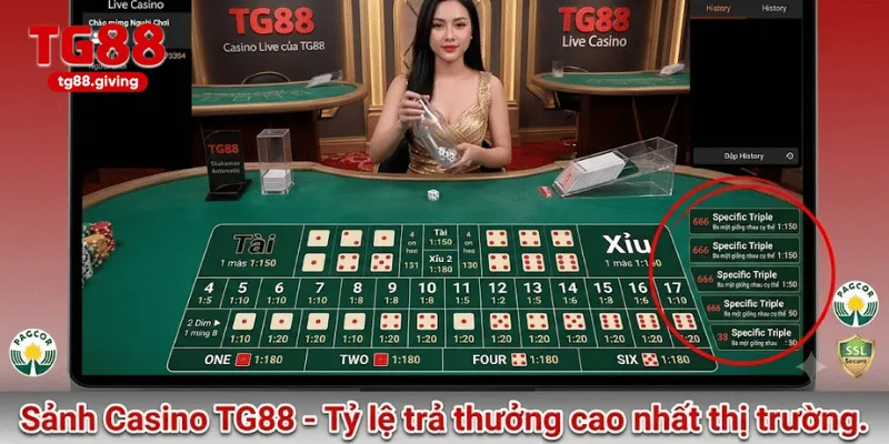 mẹo chơi tài xỉu tại casino tg88